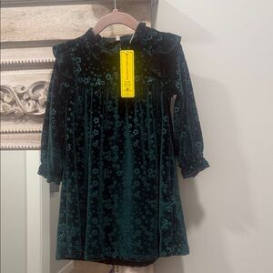 Velvet Floral Dress in Dark Green